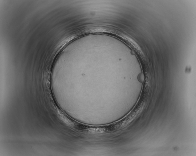 X0000101120793200807241158