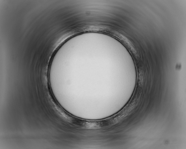 X0000101120794200807241158