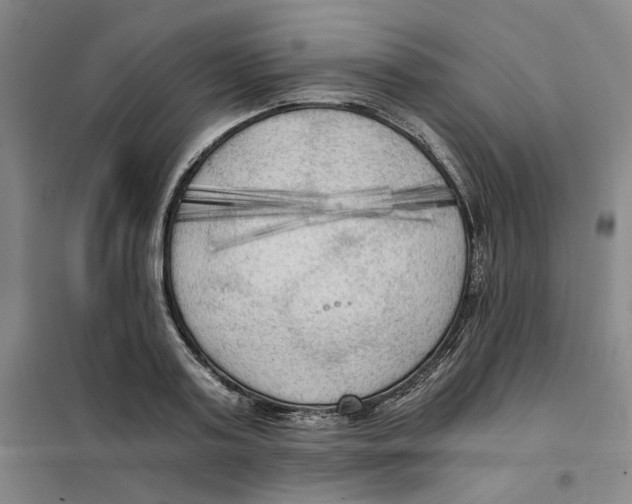 X0000101120795200807241158