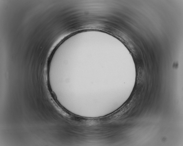 X0000101120796200807241158