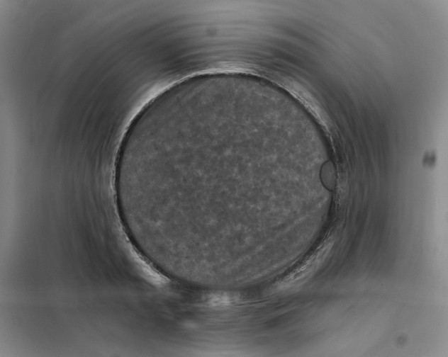 X0000101120797200807241158