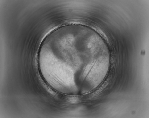 X0000101120798200807241158