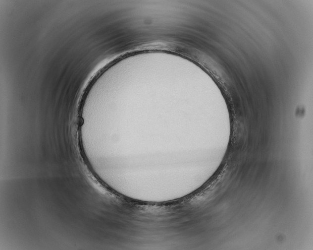 X0000101120800200807241158