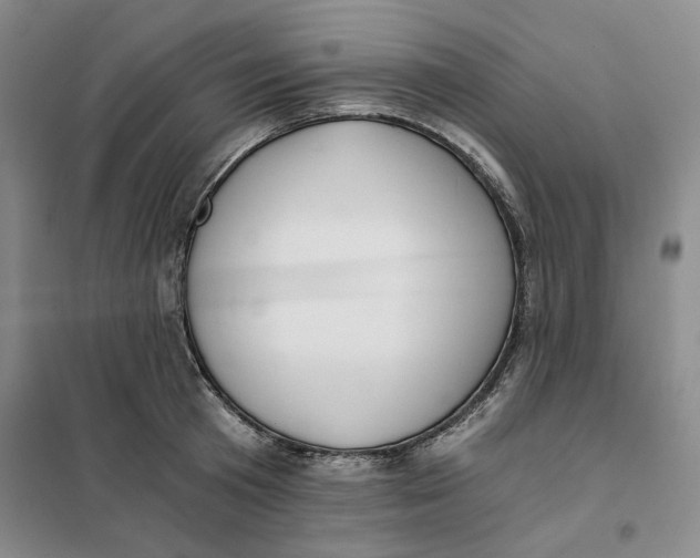 X0000101120801200807241158