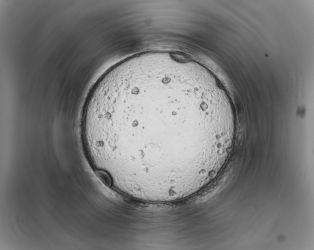 X0000101120803200807241158