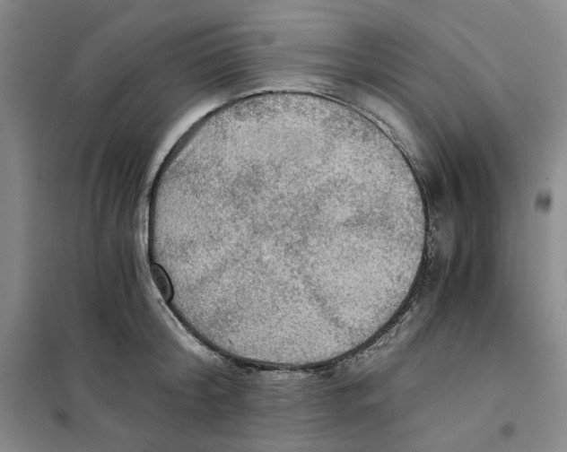 X0000101120804200807241158