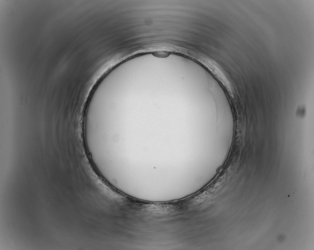 X0000101120805200807241158