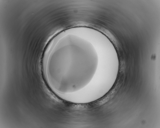 X0000101120806200807241158