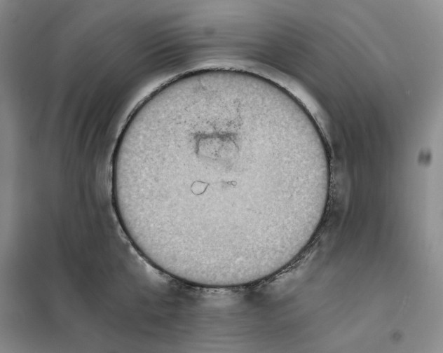 X0000101120807200807241157