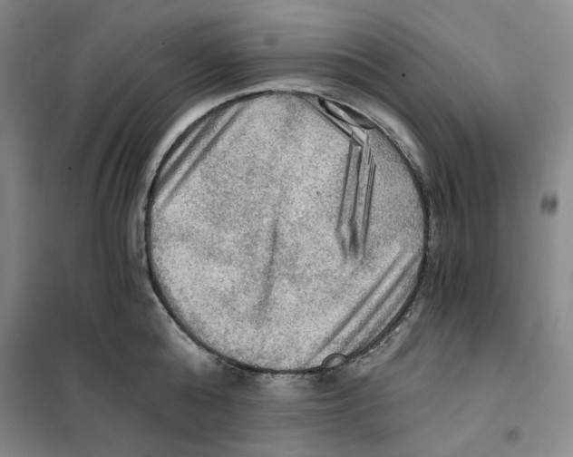 X0000101120808200807241157