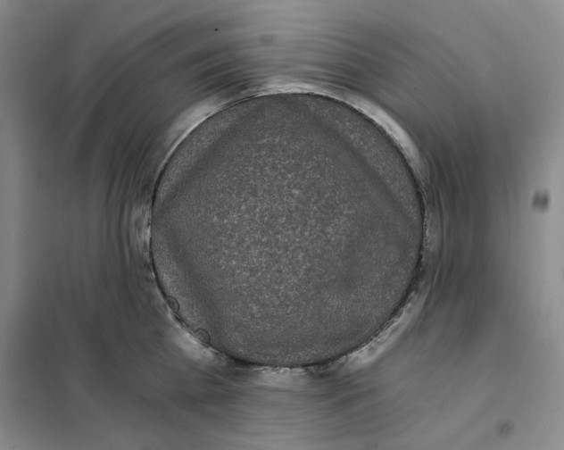 X0000101120809200807241157