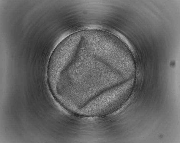 X0000101120810200807241157