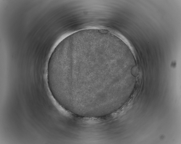 X0000101120811200807241157