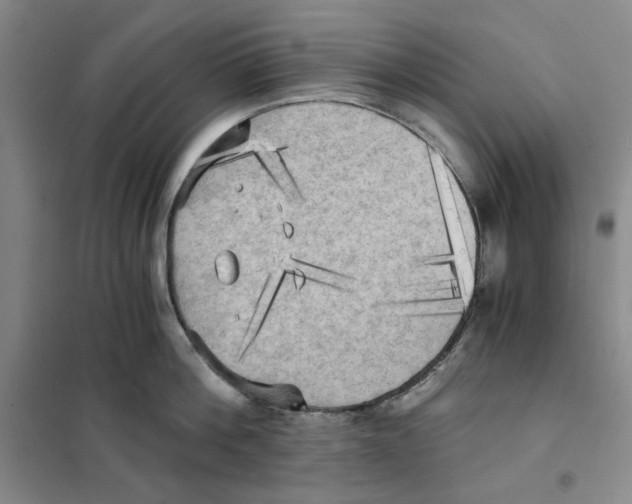 X0000101120812200807241157