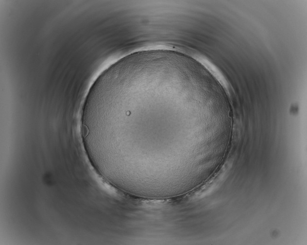 X0000101120813200807241157