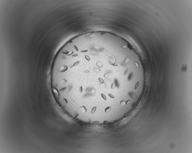 X0000101120814200807241157