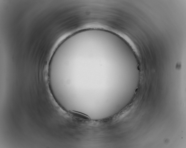 X0000101120815200807241157