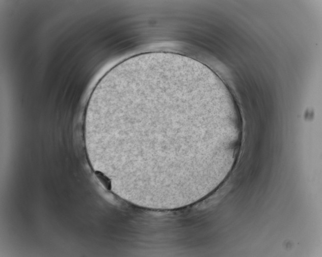 X0000101120816200807241157