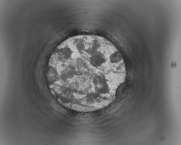 X0000101120817200807241157