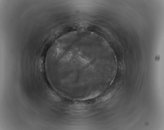 X0000101120818200807241157