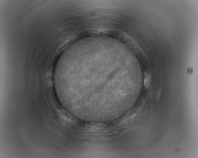 X0000101120819200807241157
