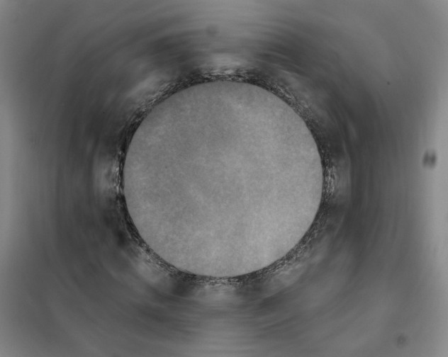 X0000101120820200807241157