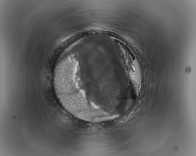 X0000101120822200807241157