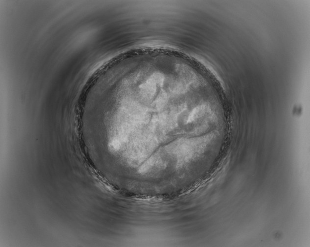 X0000101120823200807241157