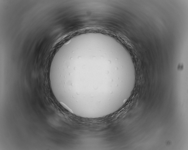 X0000101120824200807241157