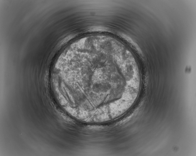 X0000101120825200807241157
