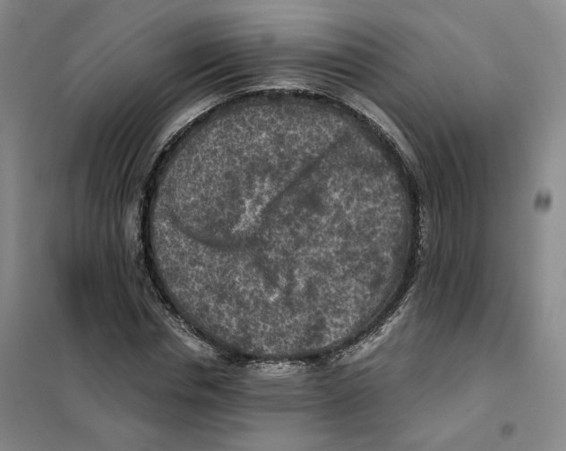 X0000101120826200807241157