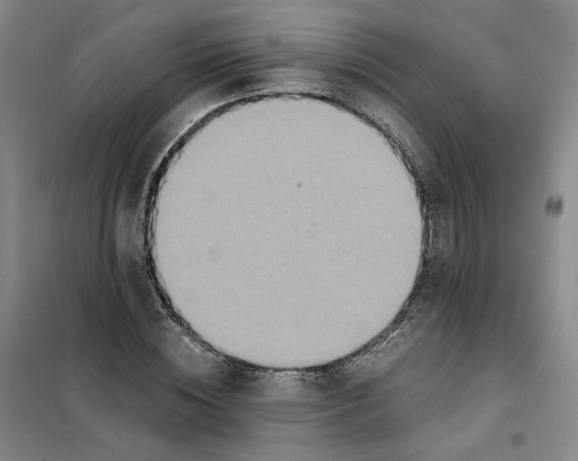 X0000101120828200807241157