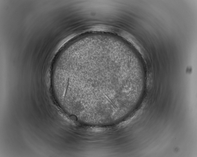 X0000101120829200807241157