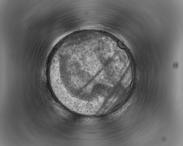 X0000101120830200807241157