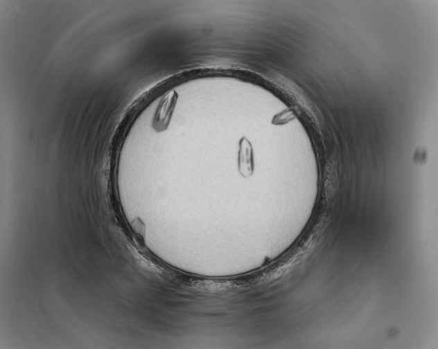 X0000101120831200807241157