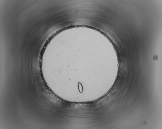 X0000101120832200807241157