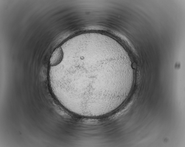 X0000101120833200807241157