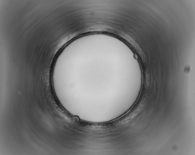 X0000101120834200807241157