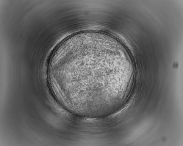 X0000101120835200807241157