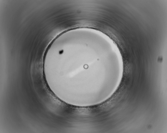 X0000101120836200807241157