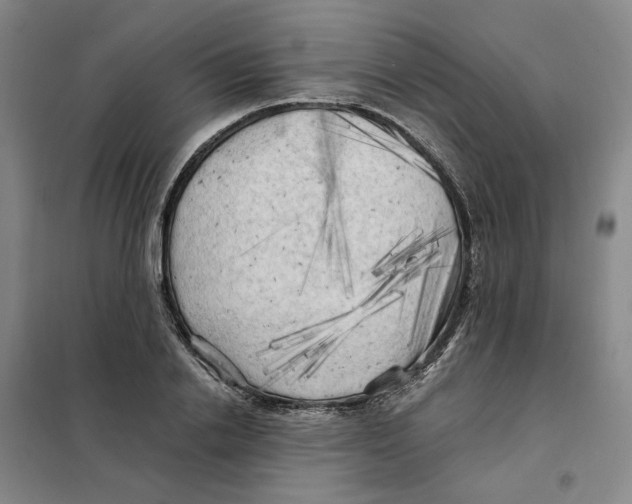 X0000101120838200807241157
