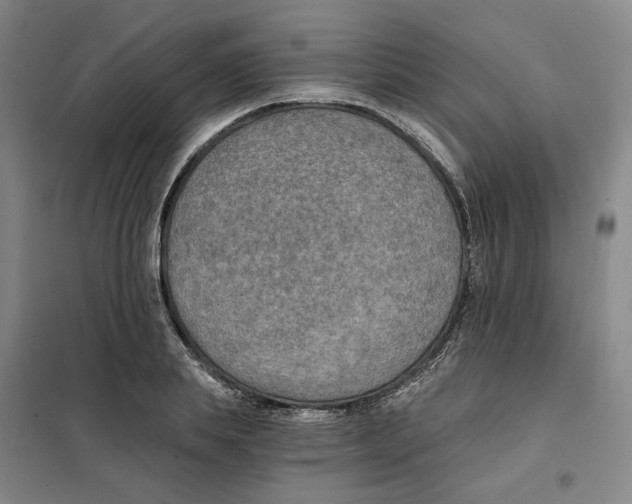 X0000101120839200807241157