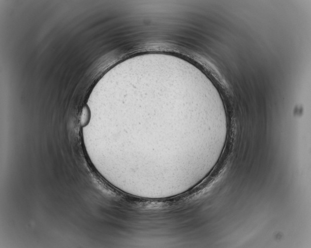 X0000101120841200807241157