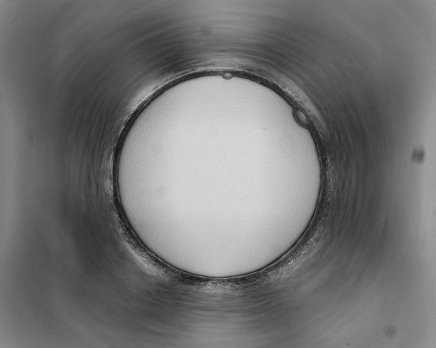 X0000101120842200807241157