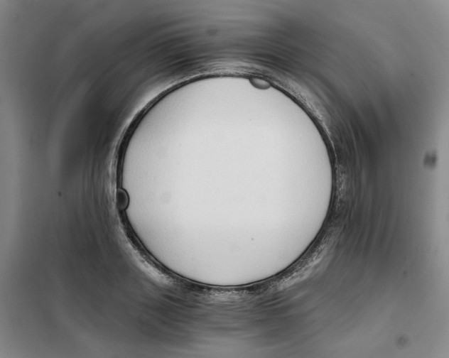 X0000101120843200807241157