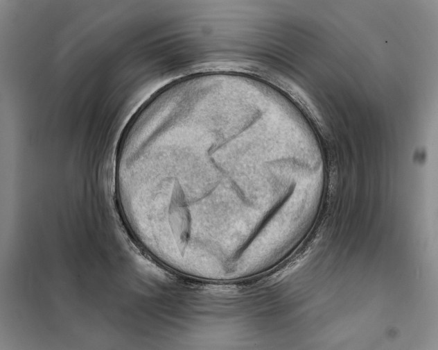 X0000101120844200807241157