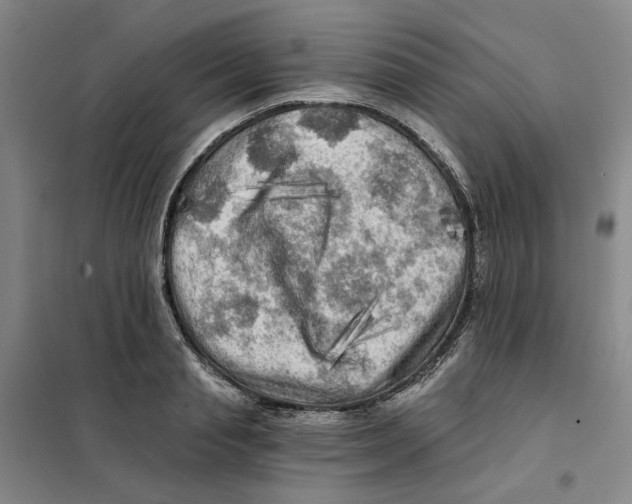 X0000101120845200807241157