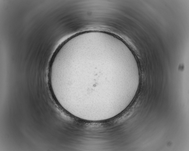 X0000101120846200807241157