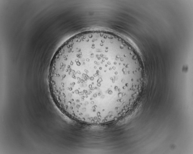 X0000101120847200807241157