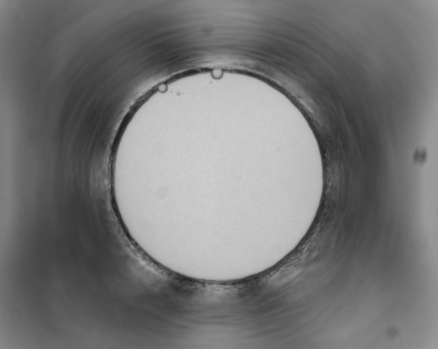 X0000101120848200807241157